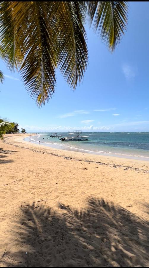 Lovely Beachfront 2 Bedrooms Condo With 2 Pools Лас Теренас Екстериор снимка